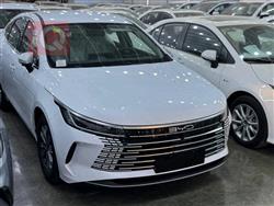 بی وای دی دیسترۆیەر 05